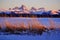 Wild Grass Weeds Sunset Tetons Teton Mountains in Background Beautiful