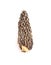 Wild Harvested Morel Mushrooms Trimmed and Dried on White Background