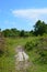 Wild heath land in Southern England.