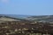 Wild Heather and Moorland Rolling Over the Hills of England