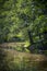 Wild hidden forest lake, water reflections, countryside