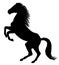 Wild horse - drawn silhouette