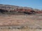 Wild Horse Herd in Bighorn Canyon