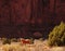 Wild horse Monument Valley Arizona Navajo Nation
