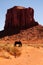 Wild horse Monument Valley Arizona Navajo Nation