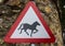 Wild horse or pony on road triangular warning sign, United king