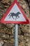 Wild horse or pony on road triangular warning sign, United king