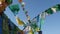 Wild horse prayer flags waving in the wind