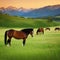 Wild horses on field meadow nature outdoor Relaxing calm inner peace vacation adventure western sountryside lifestyle Graphic