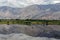 Wild horses on the flood plains of the Nubra Valley