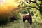 Wild horses in the forest in atmospheric light