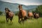 Wild Horses Galloping in a Lush Meadow