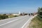 Wild horses on the main road near Livno