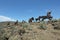 Wild Horses Monument