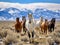 Wild horses mustangs snow capped mustang horse mountains