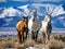 Wild horses mustangs snow capped mustang horse mountains