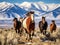 Wild horses mustangs snow capped mustang horse mountains