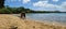 Wild horses on puerto rico Island vieques