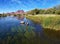 Wild Horses @ Salr River (Rio Salado) Arizona