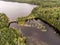 Wild huge pine tree forest and lake divides old wooden bridge in Canada Camping