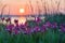 Wild irises on the estuary bank.