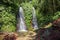 Wild jungle Twin waterfall with rocks and aerial roots of trees. Water flow in jungle. Fresh water source in wild jungle forest.