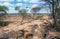 Wild Kalbarri