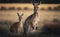 A wild Kangaroo and its joey standing in a blurred field, captured in side view, generative AI