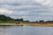 Wild Konik horses and Galloway cattle cooling down alongside the border river Meuse between the Netherlands and Belgium