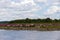 Wild Konik horses and Galloway cattle cooling down alongside the border river Meuse between the Netherlands and Belgium