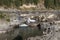 Wild Kootenai River branch rock in Northwestern Montana