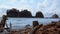 Wild La Push Beach with famous forested trail - travel photography