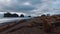 Wild La Push Beach at Quileute reservation - travel photography