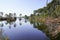 Wild Lake of Hostens water trees reflexion in Gironde france