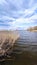 Wild lake landscape with trees and perfect cloudy sky