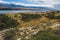 Wild landscape around Novalja on Pag island in Croatia