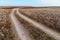 Wild landscape with ground road , late autumn, dirt road through a plain with dry grass and wild flowers