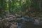 The wild landscape of a rivers with rocks.