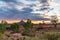 Wild Landscapes of Moab, Utah