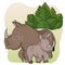 Wild life animal.African animals.rhinoceros and Rhino baby.Zoo