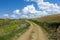 wild life path, land road stabilized road, nature and curvy country road