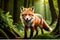 Wild life photography of a fox in jungle