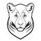 Wild lioness Head Mascot on white background