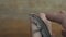 Wild lizard hand wooden background