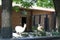 Wild llamas in the aviary behind bars in the St. Petersburg Zoo