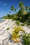 Wild lonely tropical beach on Maupiti, French Poly