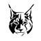 Wild lynx cat black vector head outline