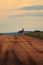 Wild male kudu africa dirt road