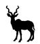 Wild male Kudu antelope vector silhouette illustration isolated on white background.