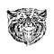 Wild mammalian cat, manul head, rare animal, for logo or emblem